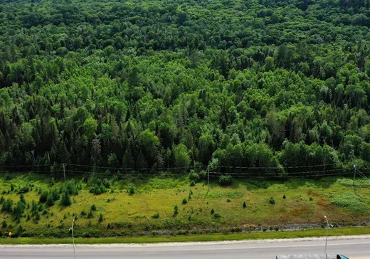 Terrain à vendre -  Rue l'Annonciation S., Rivière-Rouge, J0T1T0