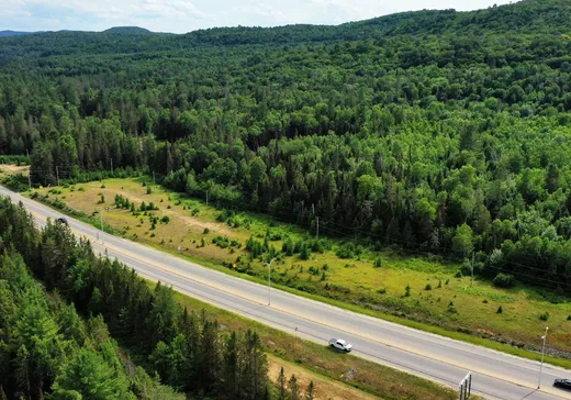 Terrain à vendre -  Rue l'Annonciation S., Rivière-Rouge, J0T 1T0