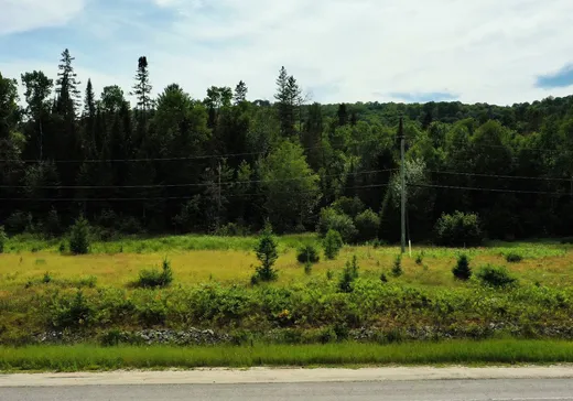 Terrain à vendre -  Rue l'Annonciation S., Rivière-Rouge, J0T 1T0