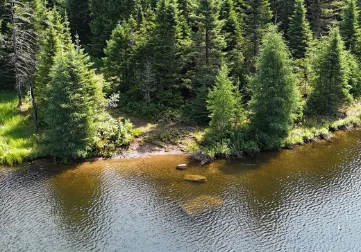 Land for Sale - 557 Crois. des Trois-Lacs, Lantier, J0T 1V0