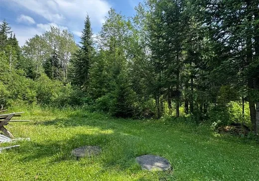 Land for Sale - 959 Ch. de Piopolis, Lac-Mégantic, G0Y 1E1