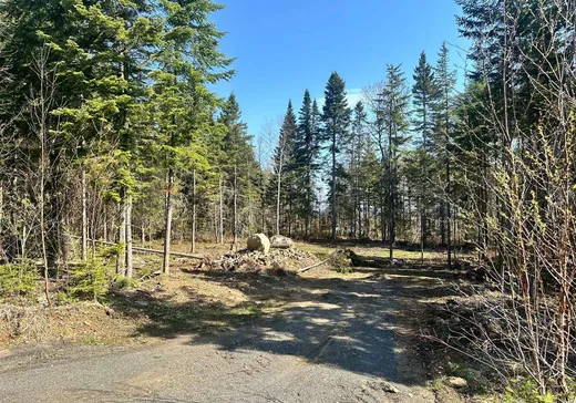 Land for Sale - X Rue du Domaine, St-Tite-Des-Caps, G0A 4J0
