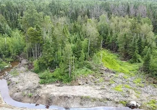 Land for sale - 861 Ch. Turcotte, Lac-Mégantic, G0Y1E0