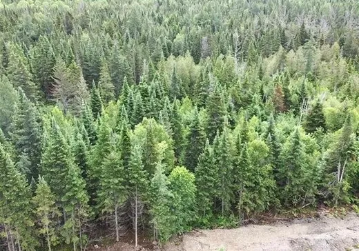 Land for Sale - 861 Ch. Turcotte, Lac-Mégantic, G0Y 1E0