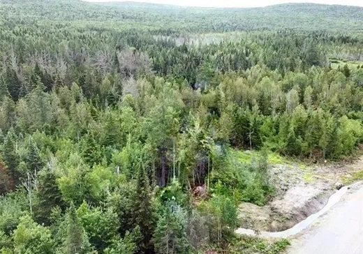 Land for Sale - 861 Ch. Turcotte, Lac-Mégantic, G0Y 1E0