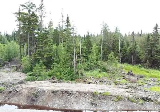 Land for Sale - 861 Ch. Turcotte, Lac-Mégantic, G0Y 1E0