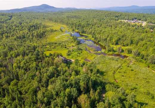 Terrain à vendre - 12Z Ch. Gilbert, Eastman, J0E1P0