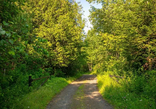 Terrain à vendre - 12Z Ch. Gilbert, Eastman, J0E 1P0