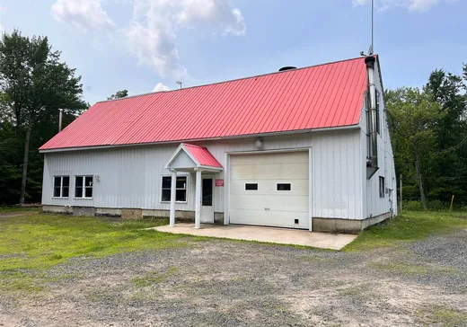 Terrain à vendre - 1545 Rue Henri, Val-Alain, G0S3H0