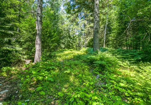 Land for Sale - Ch. du Mouli Ch. du Moulin, Sainte-Adèle, J8B 1S5