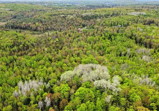 Land for Sale - 5045Z Grand rg Ste-Catherine, Saint-Cuthbert, J0K 2C0