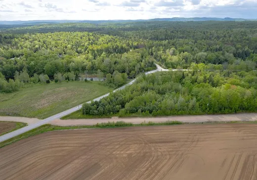 Terrain à vendre - 40 Ch. des Aviateurs, Lac-aux-Sables, G0X 1M0