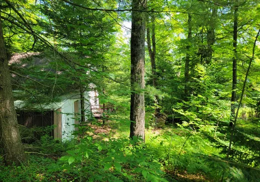 Land for Sale - 46 Rue Cabana, App. 43, Eastman, J0E 1P0