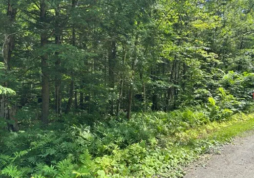 Land for Sale -  Ch. du Pipeline, Mansonville, J0E 1X0