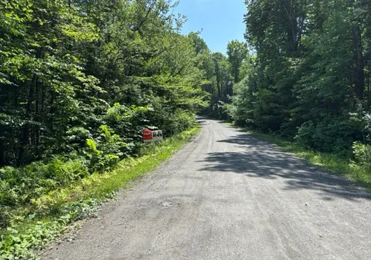 Land for Sale -  Ch. du Pipeline, Mansonville, J0E 1X0
