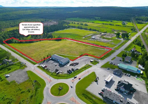 Terrain à vendre - 0Z Route 161, Lac-Mégantic, G0Y 1G0