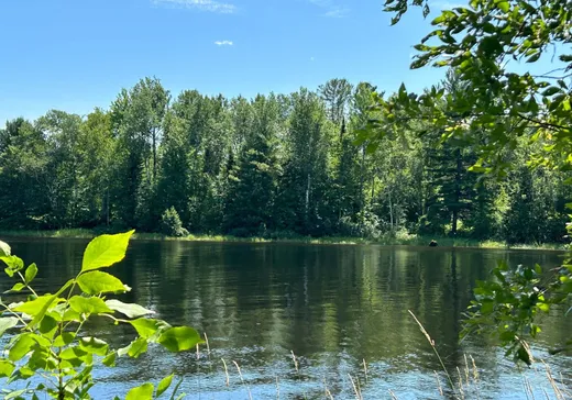Terrain à vendre -  Ch. Caron, Notre-Dame-de-Pontmain, J0W1S0