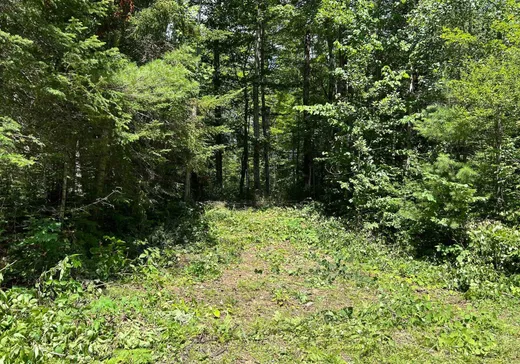 Terrain à vendre -  Ch. Caron, Notre-Dame-de-Pontmain, J0W 1S0