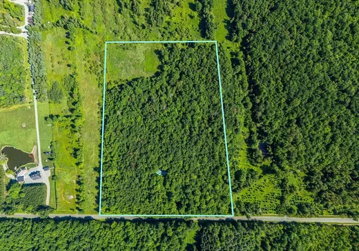 Terrain à vendre - 687 5e rang de Roxton, Saint-Hyacinthe, J0E1Z0