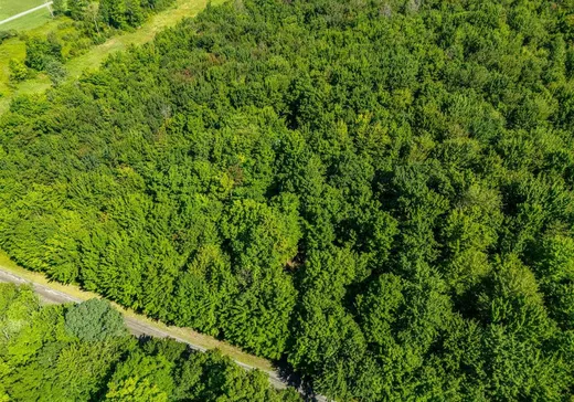 Terrain à vendre - 687 5e rang de Roxton, Saint-Hyacinthe, J0E 1Z0