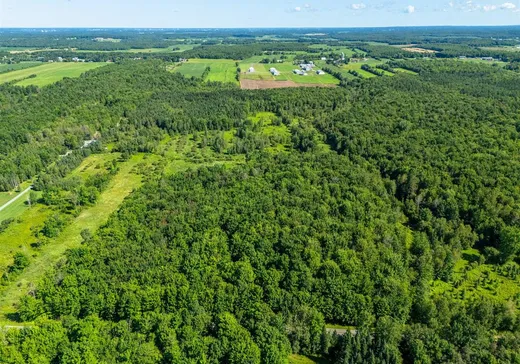 Terrain à vendre - 687 5e rang de Roxton, Saint-Hyacinthe, J0E 1Z0