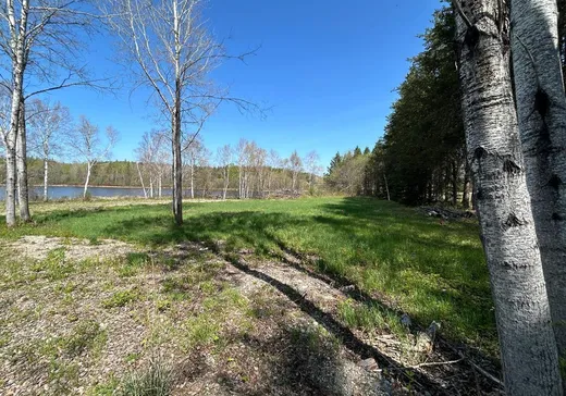 Terrain à vendre - 5768623 Ch. de Moffet-Latulipe, Moffet, J0Z2W0