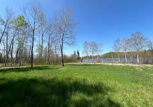 Terrain à vendre - 5768623 Ch. de Moffet-Latulipe, Moffet, J0Z 2W0