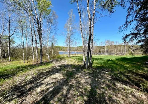 Terrain à vendre - 5768623 Ch. de Moffet-Latulipe, Moffet, J0Z 2W0