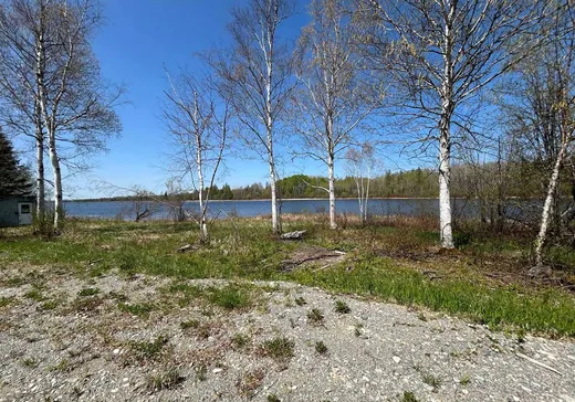 Terrain à vendre - 5768623 Ch. de Moffet-Latulipe, Moffet, J0Z 2W0