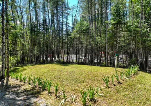 Land for Sale - 11 Ch. des Feuillages, Weedon, J0B 3J0