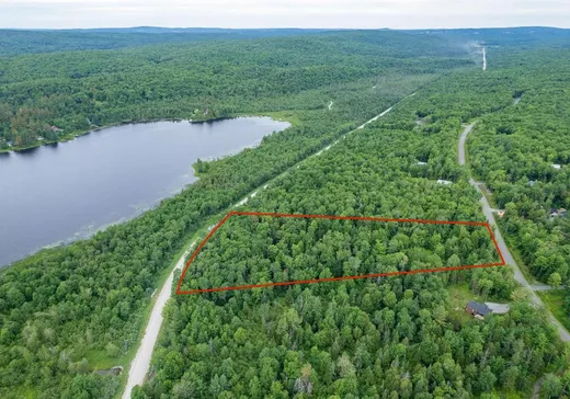 Terrain à vendre - 36 Rue des Faux-Trembles, Eastman, J0E 1P0