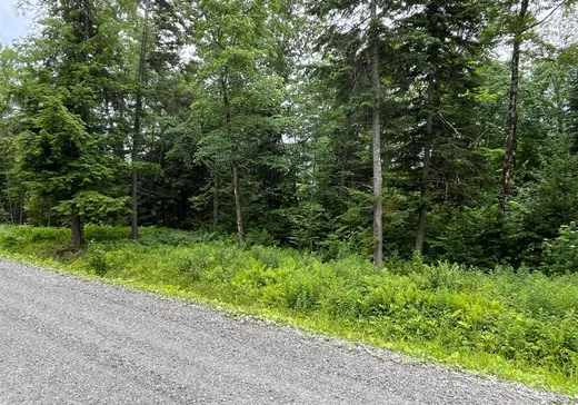Terrain à vendre - 36 Rue des Faux-Trembles, Eastman, J0E 1P0