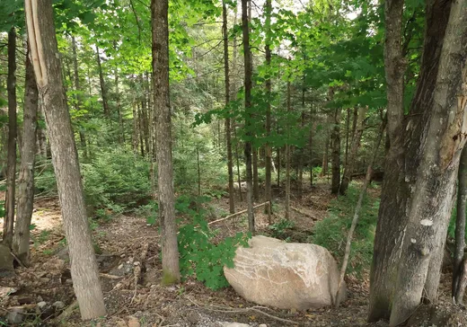 Land for Sale -  Rue du Guetteur, Sainte-Marguerite-du-Lac-Masson, J0T 1L0