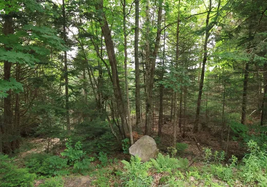 Land for Sale -  Rue du Guetteur, Sainte-Marguerite-du-Lac-Masson, J0T 1L0