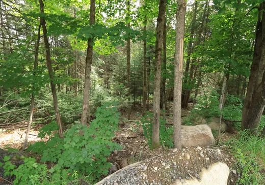 Land for Sale -  Rue du Guetteur, Sainte-Marguerite-du-Lac-Masson, J0T 1L0