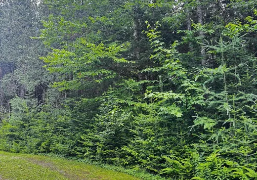 Terrain à vendre -  Imp. Provost, Huberdeau, J0T 1G0
