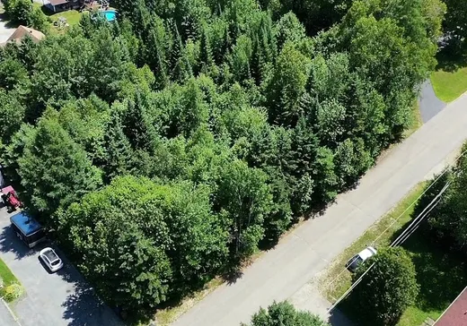Terrain à vendre -  Rue Pagé, Mont-Tremblant, J0T 1H0