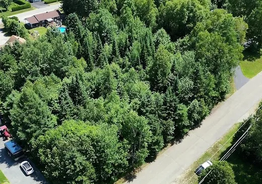 Terrain à vendre -  Rue Pagé, Mont-Tremblant, J0T 1H0