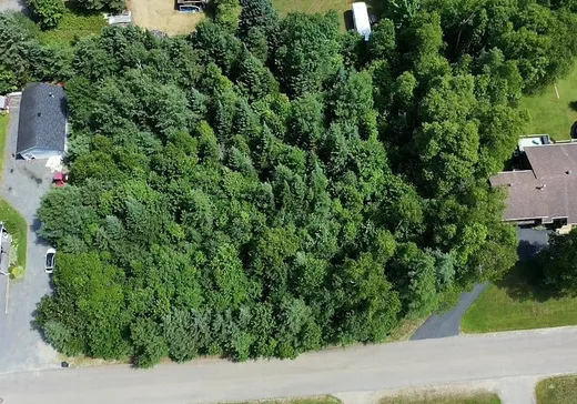 Terrain à vendre -  Rue Pagé, Mont-Tremblant, J0T 1H0