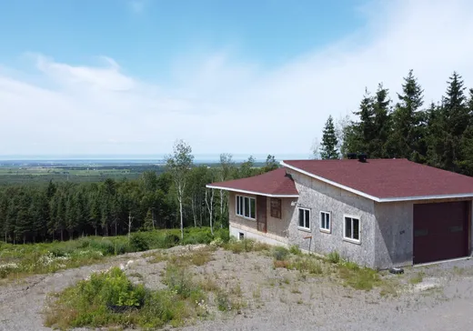 Terrain à vendre - 520 4e Rang E., Saint-Épiphane, G0L2X0