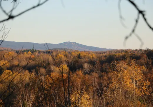 Terrain à vendre - Route 117 N. Route 117 N., Rivière-Rouge, J0T 1T0