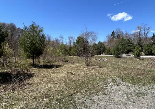 Land for Sale -  Ch. de la Pineraie, Saint-Sauveur, J0R 1A0