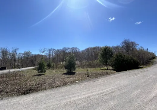 Land for Sale -  Ch. de la Pineraie, Saint-Sauveur, J0R 1A0
