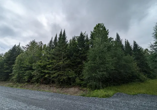 Terrain à vendre -  Ch. des Hauts-Cantons, Stratford, G0Y 1P0