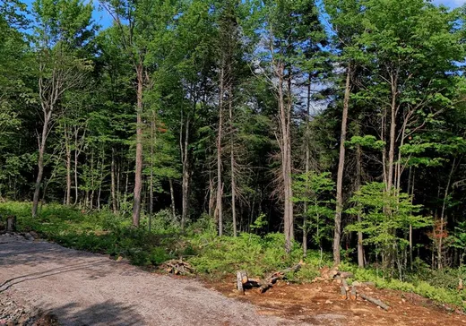Land for Sale - 110 Ch. de la Vallée, Lac-Beauport, G3B 1H8
