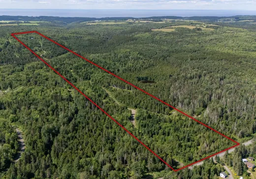 Terrain à vendre - 174 4e Rang, Matane, G4W9C3
