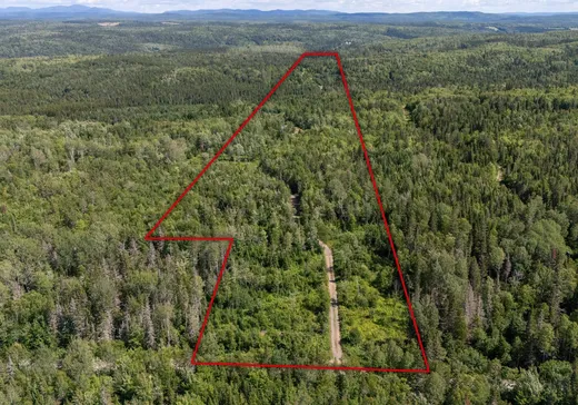 Terrain à vendre - 174 4e Rang, Matane, G4W 9C3