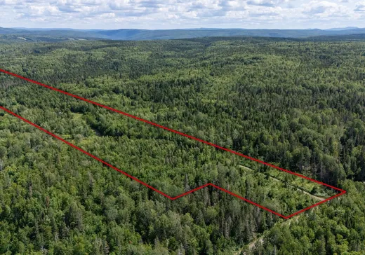 Terrain à vendre - 174 4e Rang, Matane, G4W 9C3
