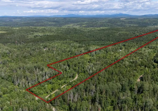 Terrain à vendre - 174 4e Rang, Matane, G4W 9C3