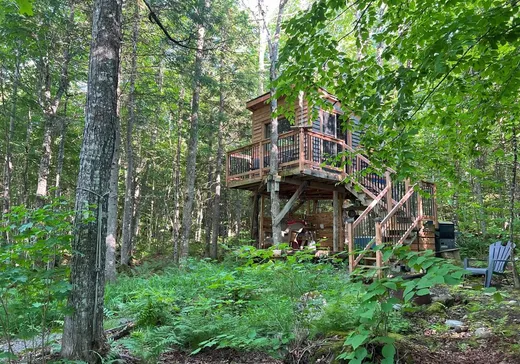 Terrain à vendre - 213 Grand ch. de l'Est, Notre-Dame-Des-Boies, J0B2E0